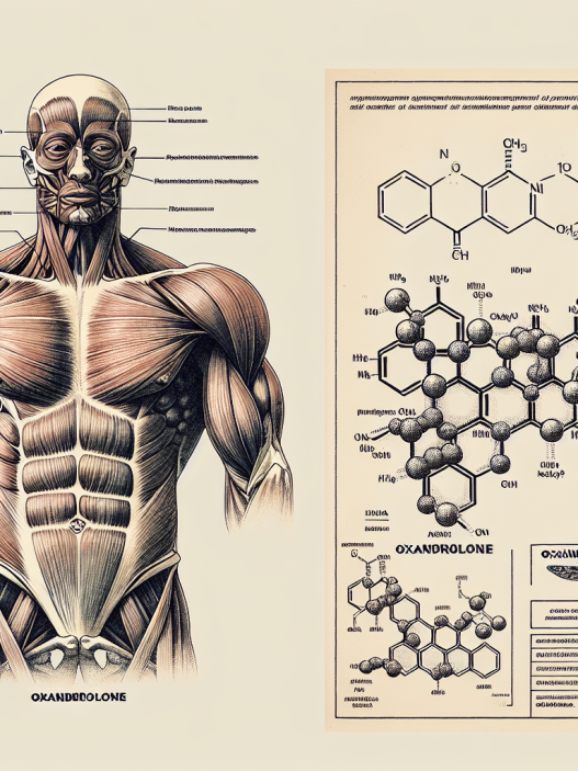 Keine Gynäkomastie-Gefahr bei der Verwendung von Oxandrolon